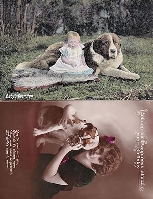 Dog & Muzzle Real Photo & Guardian 2x Dogs Postcard s
