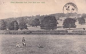 Dog Walking Great Missenden Park Bucks Old 1904 Postcard