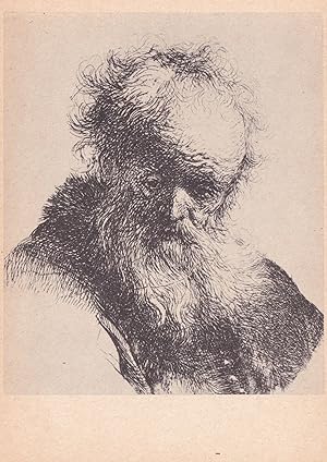 Rembrandt Old Man With A Flowing Beard Sketch Painting Postcard