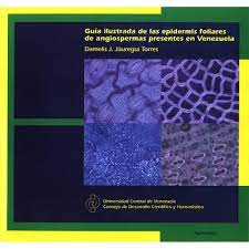 Guía Ilustrada De Las Epidermis Foliares De Angiospermas Presentes En Venezuela