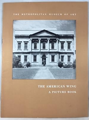The American Wing - A Picture Book
