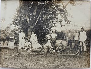 Photograph of a [Reticulated?] Python.
