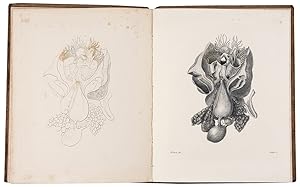 Memoir on the Pearly Nautilus (Nautilus Pompilius, Linn.) with Illustrations of its External Form...