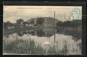 Carte postale Chambolle-Musigny, Le Moulin et la Source de la Vouge