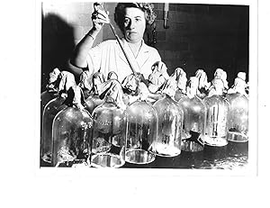 Lifesaving Penicillin Production during WWII