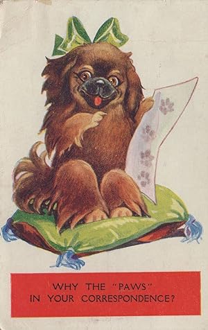 Why The Paws In Your Correspondence Letter Dog Old Postcard