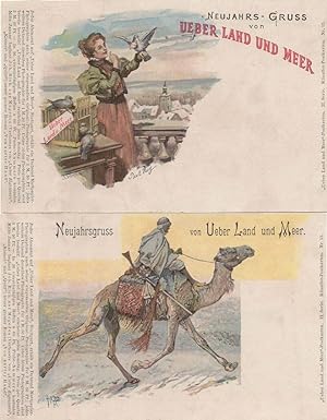 Neujahrsgruss Camel Pigeon Bird 2x Old German Postcard s
