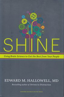 Shine: Using Brain Science to Get the Best from Your People