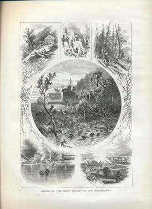 1874 Engraving - Scenes on the North Branch of the Susquehana