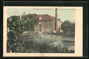 Carte postale Chambolle-Musigny, Source de la Vogue
