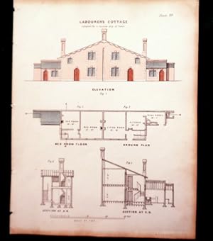 Design for a Labourer's Cottage For a narrow Strip of land