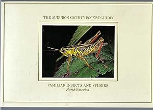 National Audubon Society Pocket Guide Insects and Spiders