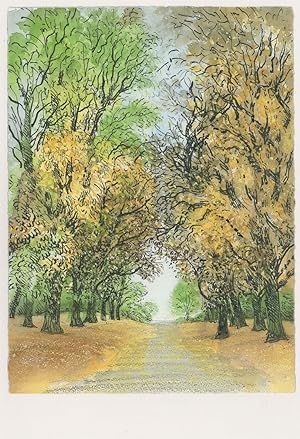 Regents Park Broad Walk Chestnut Trees London Painting Postcard