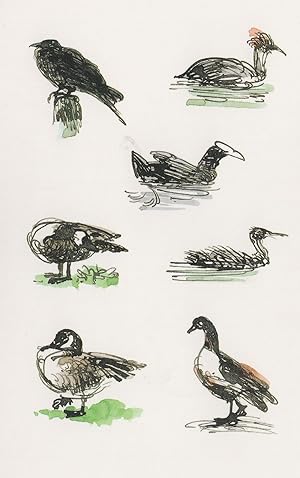 Regents Park Birds Crested Grebes Dabchicks Crows Painting Postcard