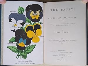 The Pansy and How to Grow It