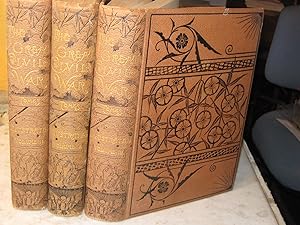 The great Civil War, a History of theLate Rebellion, 3 volumes