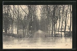 Ansichtskarte Auxonne, La Promenade (Inondation du 15 Novembre 1913)