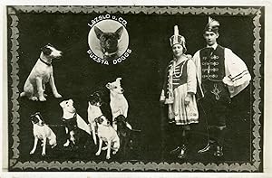 "LAZSLO u. CO. / PUZSTA DOGGS" Carte postale-photo originale (années 40)