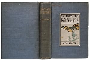 HOW TO KNOW THE BUTTERFLIES: A Manual of the Butterflies of the Eastern United States