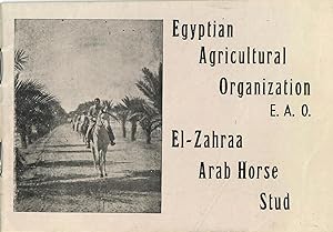 El-Zahraa Arab Horse Stud