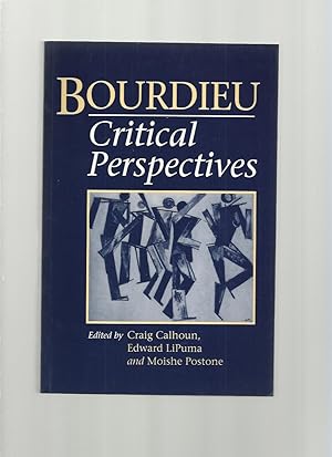 Bourdieu, Critical Perspectives