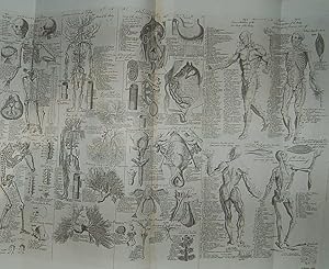 [Cyclopaedia: or, an universal dictionary of arts and sciences.]