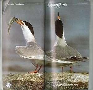 Eastern Birds: An Audubon Handbook