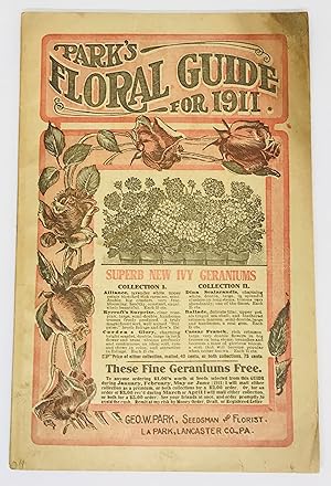 [TRADE CATALOG] Park's Floral Guide for 1911 Superb New Ivy Geraniums