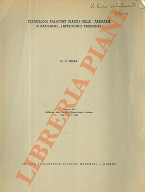 Terebellina palachei Ulrich nelle  Arenarie di Ranzano  (Appennino Parmense) .