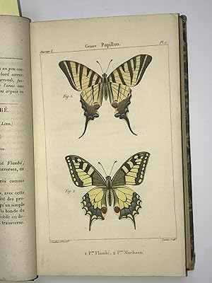 Histoire Naturelle Des Lépidoptères Ou Papillons De France. Nocturnes.