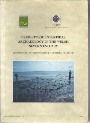 Prehistoric Intertidal Archaeology in the Welsh Severn Estuary [With CD]