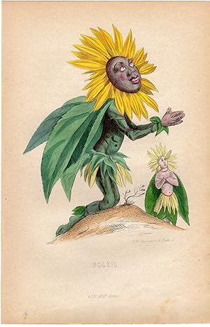 Antique Print-FLOWERS PERSONIFIED-SUNFLOWER-SUNBATHING-Grandville-1852