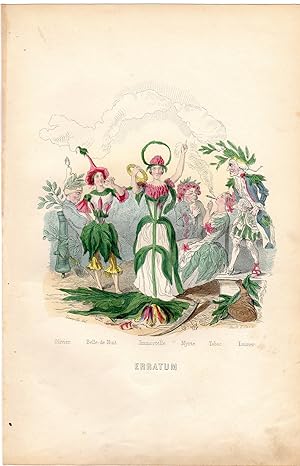 Antique Print-FLOWERS PERSONIFIED-ERRATUM-MISTAKES-TOBACCO-Grandville-1852