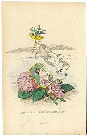 Antique Print-FLOWERS PERSONIFIED-WOMAN HORTENSIA-FRITELLARIA-Grandville-1852