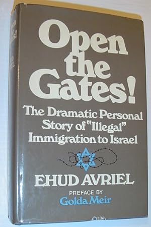 Open the Gates!: A Personal Story of "Illegal" Immigration to Israel
