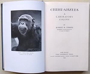 Chimpanzees - A Laboratory Colony