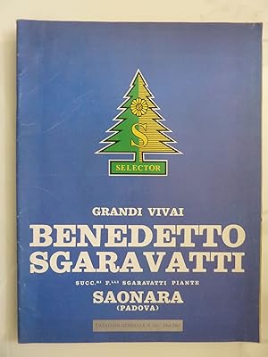 GRANDI VIVAI BENEDETTO SGARAVATTI SAONRA ( Padova ) - CATALOGO GENERALE N. 328 Autunno 1964 - Pri...