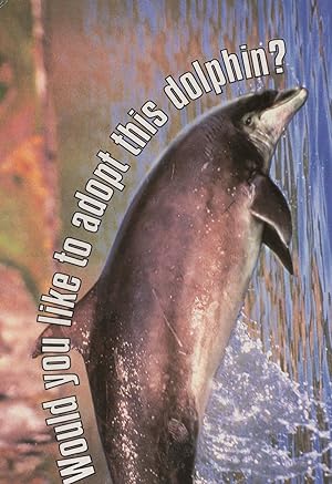 Adopt Kess The Beautiful Dolphin With A Bent Fin Postcard