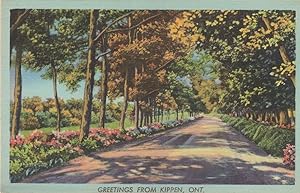 Greetings From Kippen Ontario Old Rare Postcard