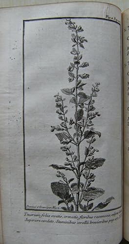 Flora Gallo-Provincialis [Will Ingwersen's copy]