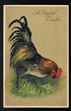 Easter Cockerel Rooster Embossed Postcard