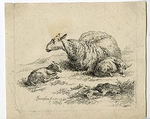 Antique Master Print-ANIMAL-SHEEP-LAMB-Berchem-ca. 1650
