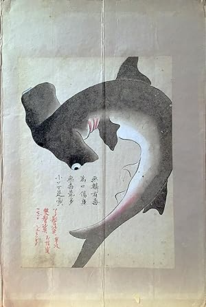 An album of watercolors of fish