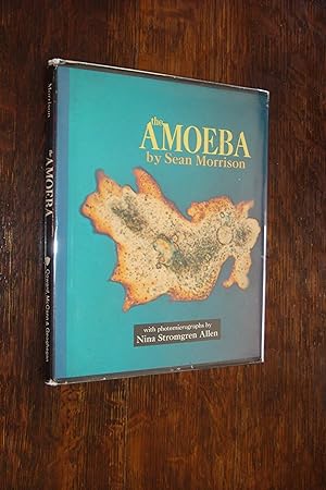 The Amoeba