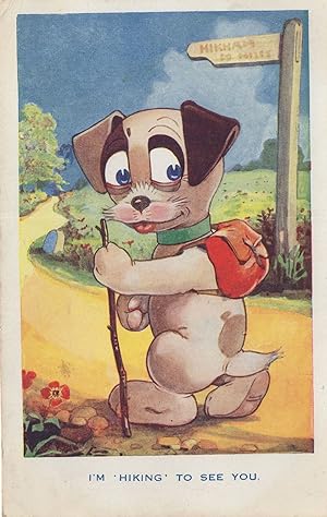 Dog Hitchhiker I'm Hiking To See You Old Comic Postcard