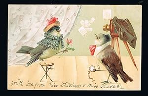 Anthropomorphic Birds Photographer Postcard