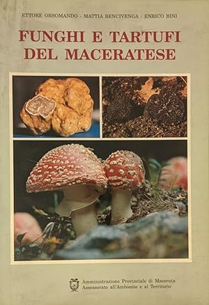 Funghi e tartufi del maceratese