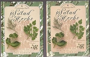 Salad Herbs: How to Grow and Use Them in the Kitchen