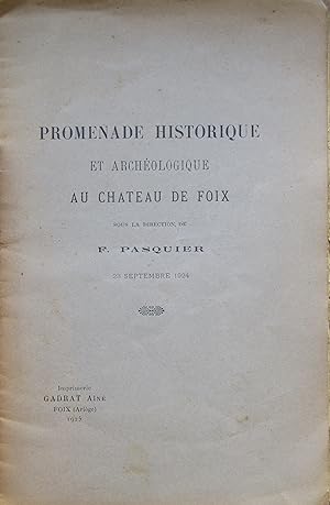 Promenade historique et archéologique au château de Foix sous la direction de F. Pasquier 23 Sept...
