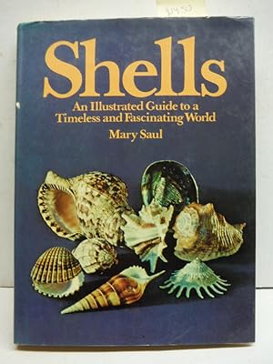Shells: An illustrated guide to a timeless and fascinating world